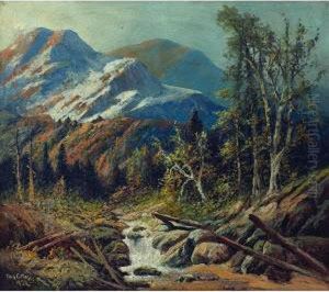 Landscape Landscape