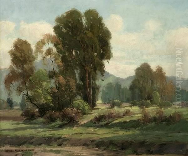 Near Riverside Drive - view 1