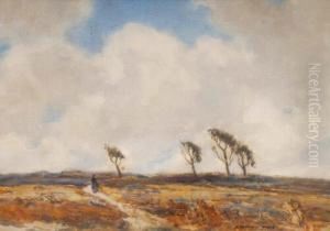 Lone Figure Crossing Moorland, Pinetrees In The Distance Lone Figure Crossing Moorland, Pinetrees In The Distance