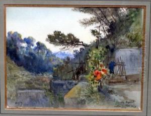 Vallon Des Fleurs. by Alexis Mossa