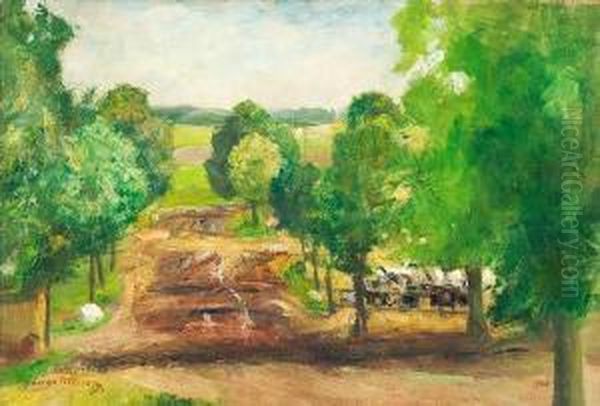 Fruhlingslandschaft - view 1
