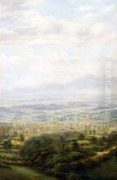 View From The Malvern Hills With Still Life Verso - view 1