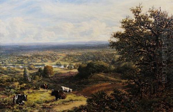 The River Mole, Near Dorking - view 1
