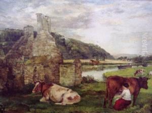 Milking Scene