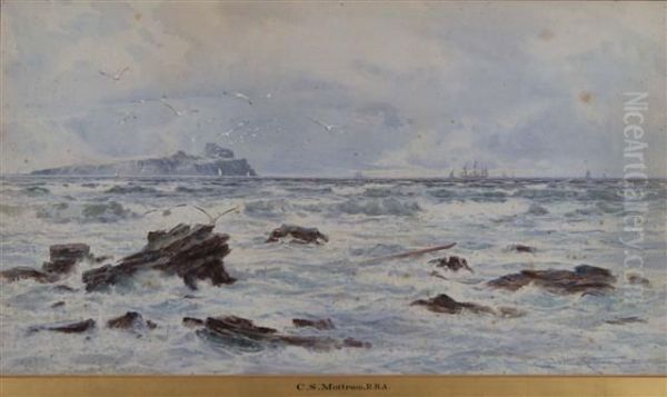 Coastal Rocks With Seagulls And Shipping In The Distance - view 1