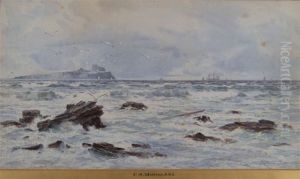 Coastal Rocks With Seagulls And Shipping In The Distance