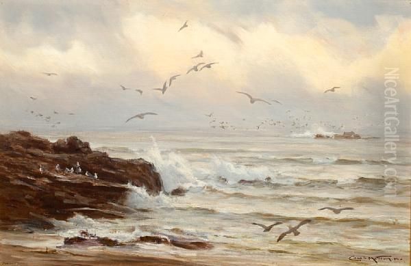 Coastal Scene - view 1