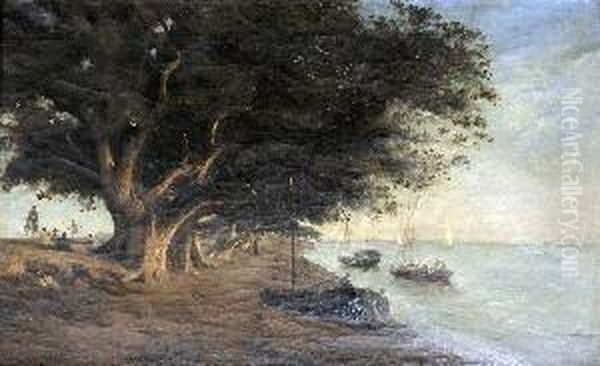 Les Grands Arbres Pres D'un Rivage En Egypte - view 1