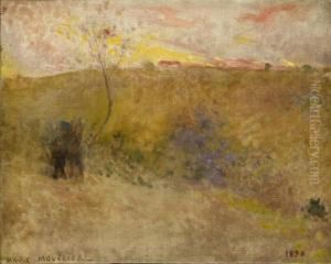 Paysage Paysage