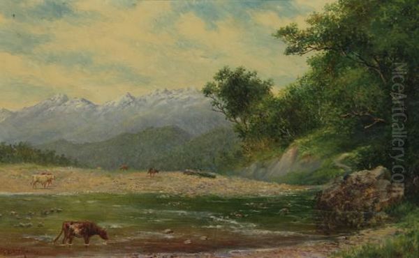 Looking Up The Taramakau, River From Jackson's Westland, New Zealand - view 1