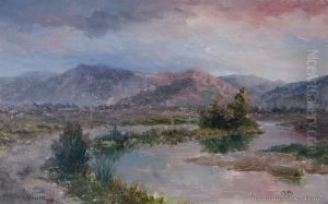 Evening Near Berwick, Otago