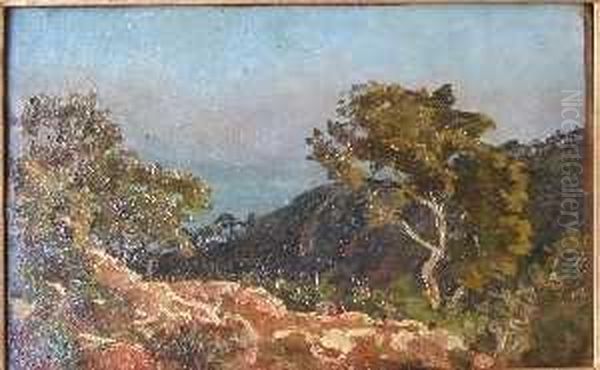 Paysage De La Cote D'azur - view 1