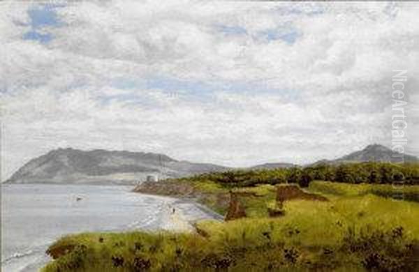 Killiney Beach - view 1