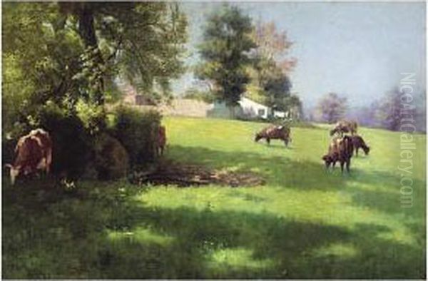 Cattle Grazing - view 1
