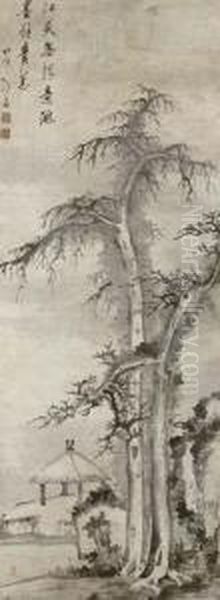 Pavillion Under Pine Tree - view 1