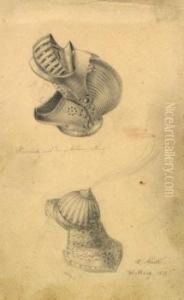 Drei Studienblatter by Karl Anton Heinrich Mucke