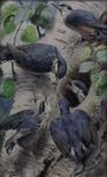 Bird's Nest In A Tree - view 1