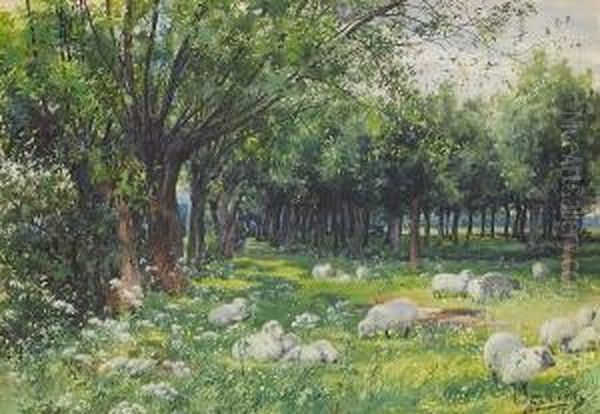 Sheep In A Wooded Landscape - view 1
