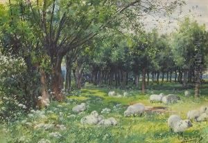 Sheep In A Wooded Landscape Sheep In A Wooded Landscape