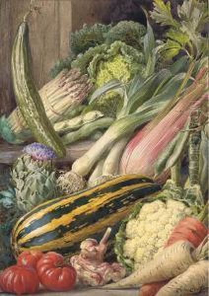 An Abundance Of Plenty - view 1