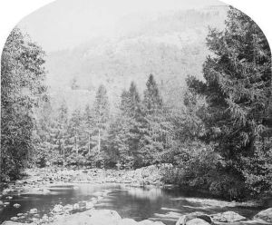 On The Llugway, North Wales