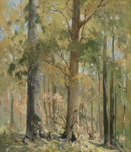 The Wood - view 1