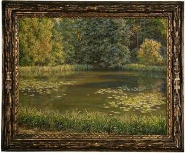 Lily Pond - view 1