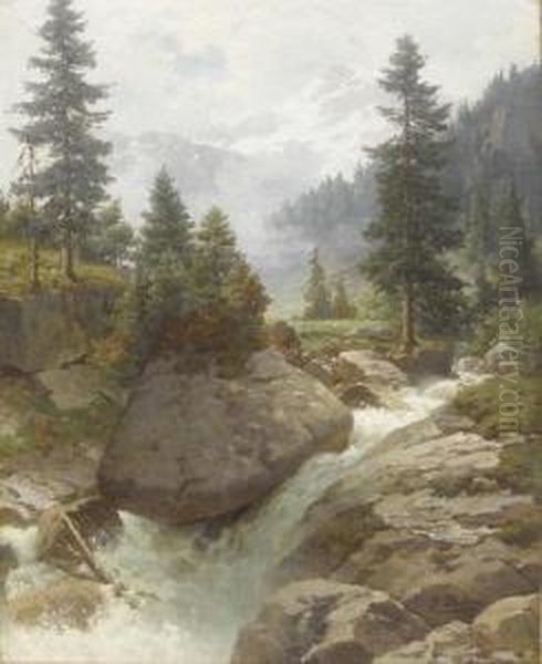 Bergbach In Den Alpen. - view 1