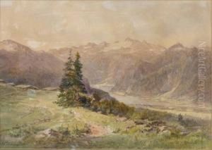 Hutteneck-alm by Ferdinand Muhlbacher