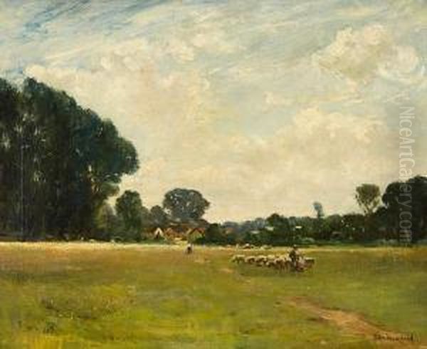 Lowland Meadow - view 1
