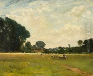 Lowland Meadow by John Muirhead