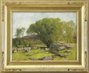 Cape Ann Pastureland