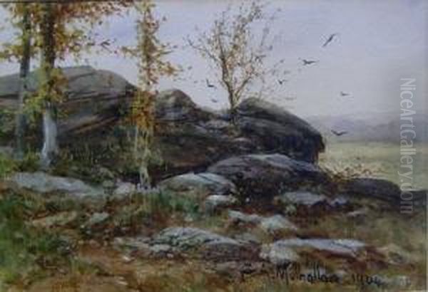 Landscape With Cluster Of Rocks - view 1