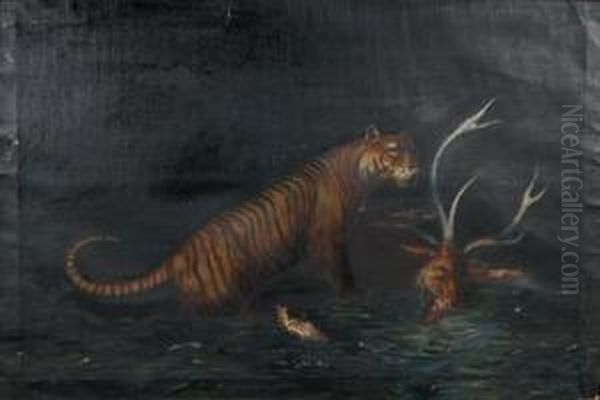 Tiger Hunting - view 1