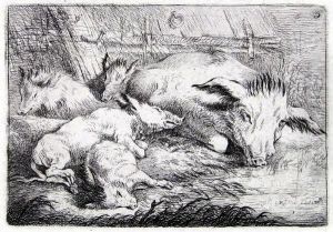 Sau Mit Ferkeln An Einem Tumpel by Friedrich Muller