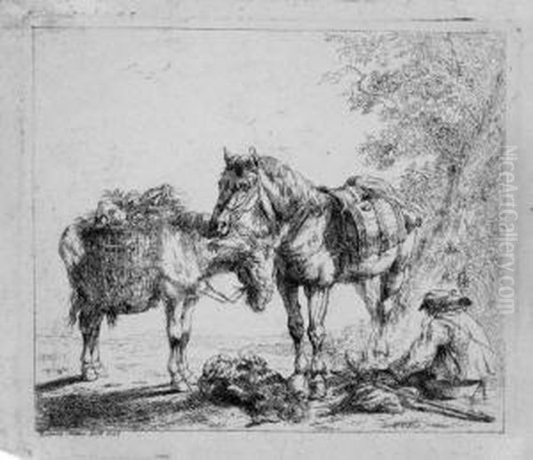 Maler Muller - view 1