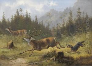 Hirsch Vom Hund Gejagt