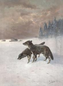 Zwei Wolfe Im Schnee.