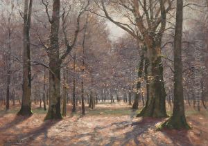 "herbstliche Waldlandschaft" by Peter Paul Muller