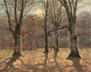 Thru The Woods by Peter Paul Muller