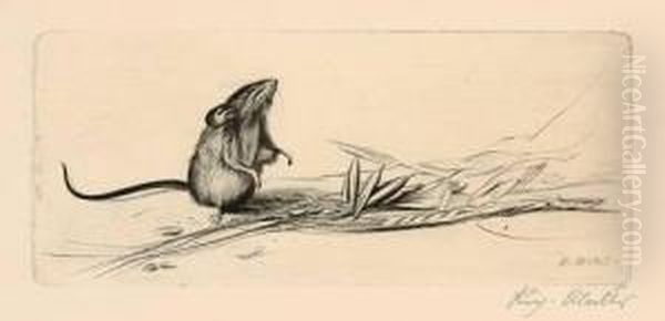 "maus Mit Nuss" / "maus Mit Hafer" - view 1