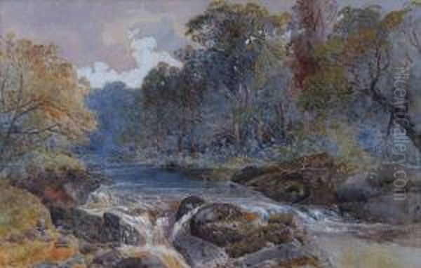 Riverlandscape - view 1