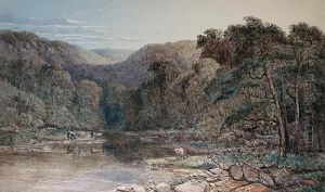 'evening' - River Scene Near Cricieth, North Wales 'evening' - River Scene Near Cricieth, North Wales