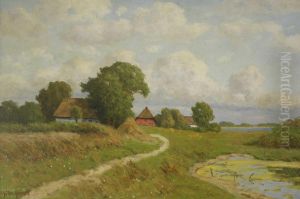 Boddenlandschaft Im Sommer, Wohl Ahrenshoop