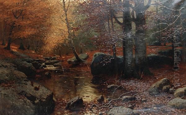 A Woodland Stream - view 1