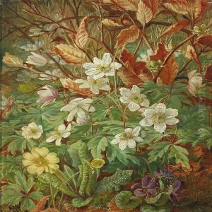 Forest Floor With Spring Flowers by Emma Mulvad