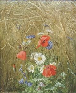 Poppies, Bluebells And Convolvulus In A Cornfield