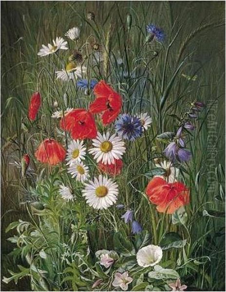 Danske Markblomster, Valmuer, Kornblomster, Margeritter (flowers Of The Field) - view 1