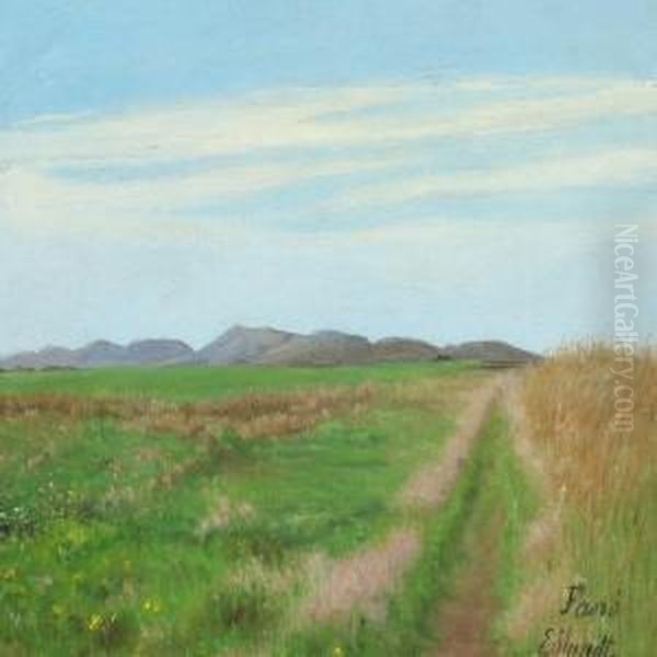 Danish Summer Landscape With View Over Fields - view 1
