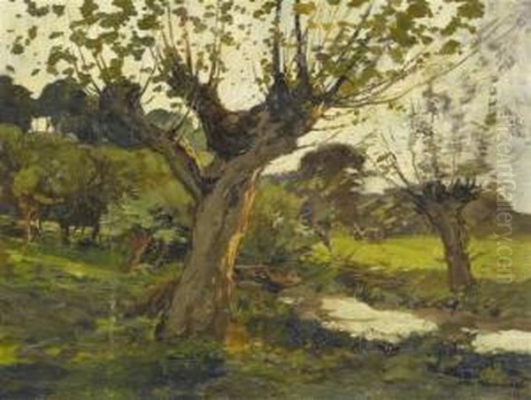 Late Summer River Landscape - view 1